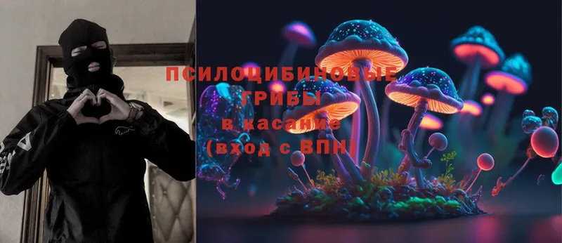 Псилоцибиновые грибы Psilocybe  купить закладку  Вяземский 